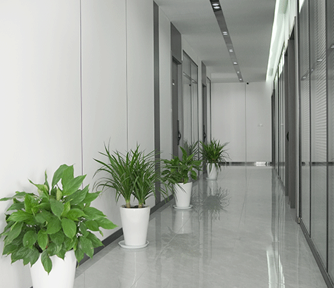 企業(yè)風(fēng)采